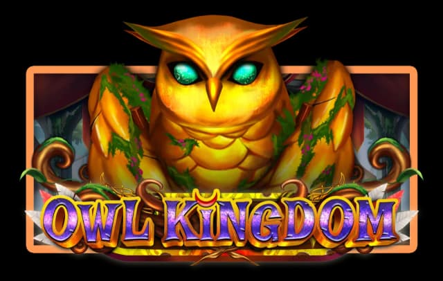 Owl Kingdom