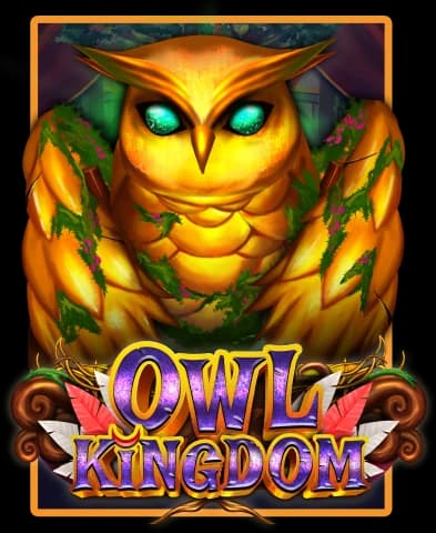 Owl Kingdom